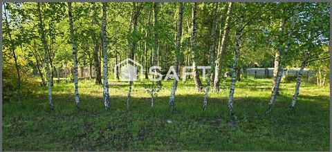 photo no. 12