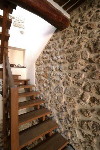 photo no. 10