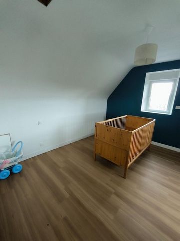 photo no. 6
