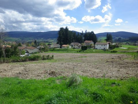 photo no. 1