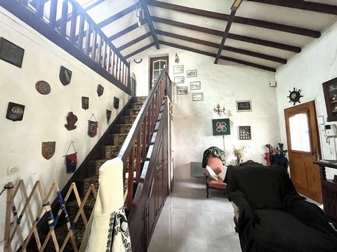 photo no. 4