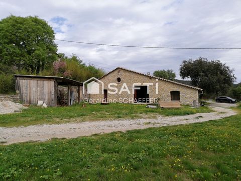 photo no. 5