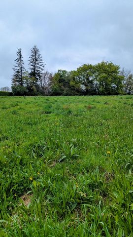 Terrain de 2206m2