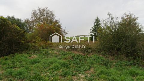 photo no. 2