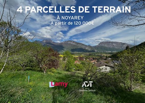 Terrain nu