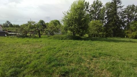 photo no. 2