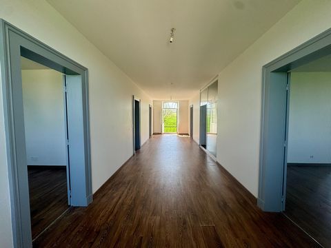 photo no. 16