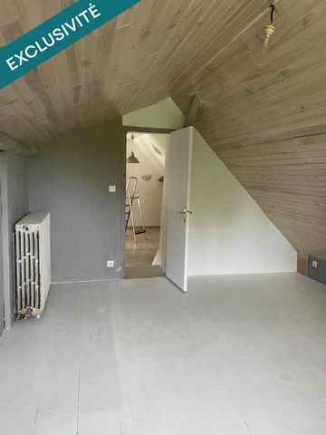 photo no. 11