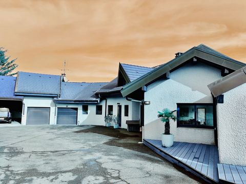 photo no. 14