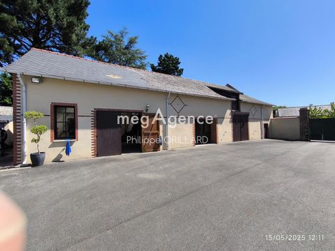 photo no. 11