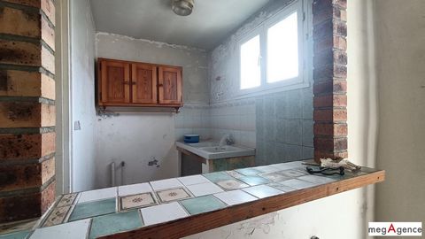 photo no. 5