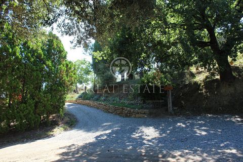 “Casale Puggiano” is located in a small hamlet and is divided into two apartments, for a total area of about 260sqm. The first living unit, used as private residence, consists of 2 bedrooms, a bathroom, a living room and a kitchen with antique firepl...
