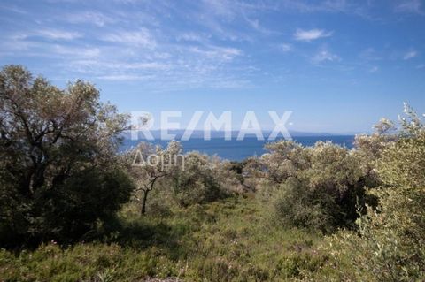 Northern Sporades Real Estate Consultants Kollias Panagiotis - Pappas Vassilios: Exclusively available plot of 4050 sq.m. evenly buildable in the area of ​​Vromolimnos Skiathos. The property is unique as it offers sea views and is just 160 meters fro...