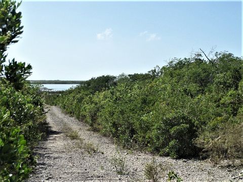 This property is in a great location! Only a few minutes from Clarence Town, the capital of Long Island where the freighters come in once a week from Nassau and Ft. Lauderdale with supplies to the island. It offers 115.98 acres of land which runs fro...
