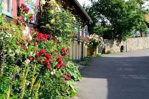 Machen Sie Urlaub in Allinge Der Ferienpark Storløkke in Allinge bietet schöne Ferienunterkünfte in ruhiger Lage. Hier findet jeder etwas für sich wie z. B. den saisonal beheizten Swimmingpool, einen Hockeyplatz, Trampolinspringen, eine Seilbahn und ...