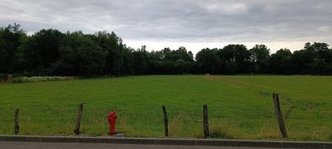 flat building plot in Luxeuil-Les-Bains 70300. rare for sale of an area of 6704M2. Located in a quiet and quiet street. Urban planning certificate ok This land is constructible on 2/3. direct access to the D6 which serves the axes Epinal, Nancy, Veso...