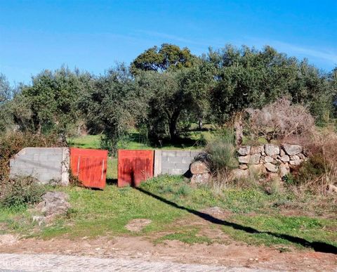 Excellent land with an area of 29.750m2 and another along with another 1.750m2, making a total of 31.500m2, composed of olive trees, cork oaks, pines and arable culture. Located at the entrance of the village, next to the tar road. * Excellent land w...