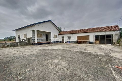Property ID: ZMPT559594 Have you ever imagined a family villa surrounded by privacy near the beach and just a few minutes from the city? I present this excellent property located 10 minutes from the city of Figueira da Foz and the beach of Quiaios. W...