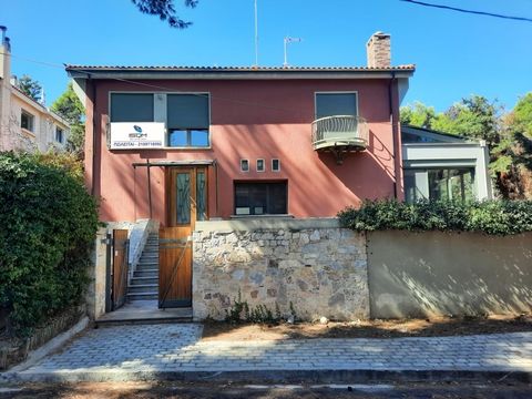 - Drosia, Rea, Villa A two-storey house of 717 sq.m. on a plot of 1,069.30 sq.m. is available for sale. with a pool of 60.50 sq.m. consisting of basement 342.22 sq.m., ground floor 215.38 sq.m. and A floor 148.64 sq.m. with attic 11 sq.m. The plot is...