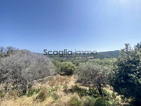 The agency Scaglia immo offers for sale in the town of Monacia-D'Aullène, this villa type T3 of 75 m2 with a terrace of 47 m2 pleasant and sunny with an above ground pool. The completion of the construction dates back to 2023, It is a new house in se...