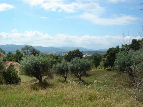 For sale this land for construction with good views in a quiet place 10 min. from the village, 10 min from the river beach, 10 min from the river Mondego and 20 min from Coimbra. There is an approved housing project. Business opportunity, check your ...