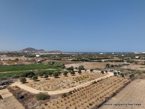 Agia Anna Naxos, a land of 4.000 m2 is available for sale. The distance from the beach of Agia Anna is 2 km and from Naxos Town 4.4 km. The parcel has the possibility of building 200 m2 for house and has a connection to the water service of the commu...