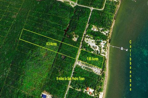 Four Parcels of Land (in Habaneros South with a total of almost 6 acres of land), two beachfront parcels measuring 90’ x 400’ each and two back lots measuring 90’ x 1000’ each.  The property is located approximately 9 miles north of San Pedro Town wi...