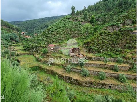 Farm with land of 29.013m2 located next to the village of Benfeita. It has good quality water wells and several terraces of fertile land. It has 1 building with 2 bodies intended for housing built in traditional stone with 2 floors with walls and roo...