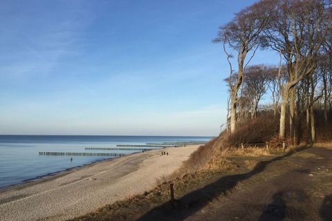 Come visit us on the Baltic Sea and experience this cozy holiday bungalow measuring 52m². It is equipped for 4 people. The bungalow is located in a well-kept holiday complex. The legendary ghost forest begins not far from the complex and takes you di...