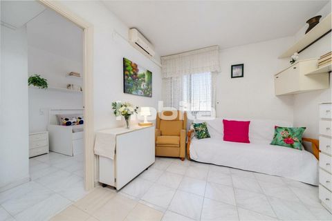 Charming and bright one-bedroom apartment with a small terrace. French-style kitchen and its spacious bathroom and bedroom will surprise you. The living room features a sofa bed and air conditioning. Located in the heart of Torrevieja, close to every...