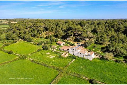 Attractive rustic finca in Menorca 15 minutes from the port of Mahón and Fornells. It enjoys a lot of privacy and is located in a beautiful environment. It has about 500 m2 built between housing and agricultural buildings. It has its own well with ab...