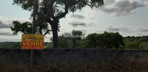 Terreno con 1.425 ettari, diversi alberi di sughero e ulivi, buon accesso. Vista eccellente. Vicino al villaggio.