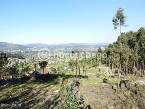 Rustic land in Quintiães with 3.051 m2. Well, Excellent sun exposure and magnificent views over Monte and Serra