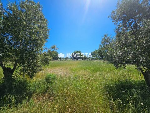 In the vicinity of Vodnjan, a large building plot of 2,357 m2, completely surrounded by a wall, is for sale. The land is located in the construction zone and there is a conceptual project for the construction of 3 villas, but the future owner can ada...
