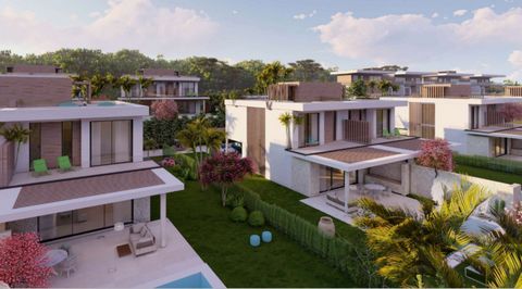 Fantastic promotion of luxury villas in El Rompido.  These homes are designed so that well-being lifestyle and comfort are the top priorities. There are 14 homes on offer in various sizes, finished with the best qualities. They all consist of 4 bedro...