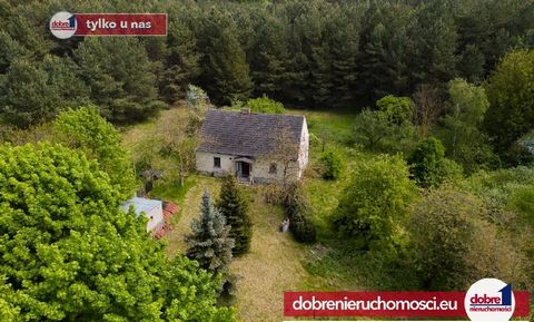 Dobre Nieruchomości recommends an unusual habitat with a land area of 5000m2 beautifully located surrounded by forests near 2 lakes - Lake Chomiąskie and Lake Foluskie, a beautiful place in the Żnin Lake District, Gąsawa commune. The habitat is built...