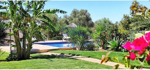 Property of 19,120 m2 of land with 2 villas in Algoz Reference: JG2611 Property with 10x6m swimming pool, tropical gardens and large terraces to enjoy the sun at any time of the day. Main house with 217 m2, distributed as follows: - Large entrance ha...