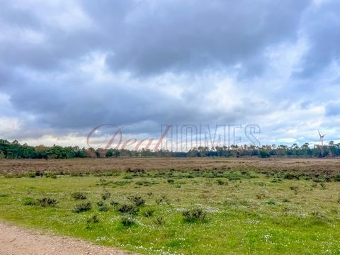 DH Lagos presents, Rustic land with 1,785 ha, located in the Samouqueira area, a short distance from the village of Vila do Bispo. Located next to the very good condition access road, it is very flat land. Intended for agricultural activities, it cou...