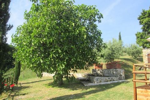 Wunderschönes, kürzlich renoviertes Ferienhaus (Mai 2024), auf zwei Etagen mit großem Garten und unberührter Umgebung. Rustikaler toskanischer Stil inmitten der Natur, für einen erholsamen Urlaub. Der private Swimmingpool misst 6,50x4,50, der Garten ...