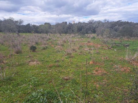 Terreno Rústico com 13.920 m² em planalto com pouco desnível. O terreno encontra-se relativamente limpo, mas com algumas árvores antigas como alfarrobeiras, amendoeiras e oliveiras. Tem eletricidade a cerca de 50 metros e fica localizado a cerca de 1...