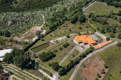 Identification de la propriété : ZMPT568713 Découvrez cette magnifique villa de luxe située sur un vaste domaine privé, entourée par la beauté naturelle des collines et des forêts luxuriantes. Avec un mélange parfait de confort moderne et d’élégance ...