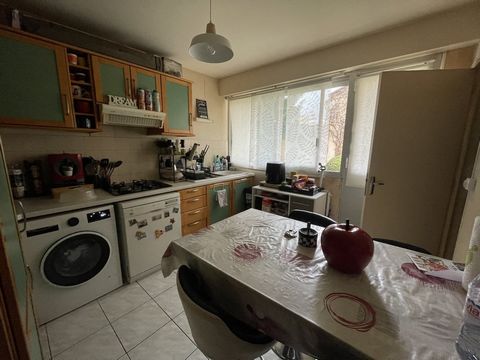 photo no. 7