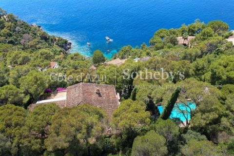 Entdecken Sie diese prächtige provenzalische Villa von fast 300 m², ideal am Westhang von Cap-Ferrat gelegen und bietet einen atemberaubenden Panoramablick auf das Meer bis hin zum Cap d'Antibes. Es ist nach Südwesten ausgerichtet und besteht aus ein...