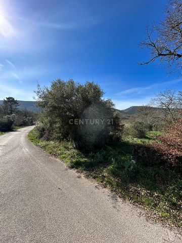 Terreno rústico regular para cultivo com olival. Propício para a observação de javalis. Perto do cemitério. 640m2 20m frente de estrada Alcaria, Porto de mós Porquê vender ou comprar com a CENTURY 21 Porque com a CENTURY 21, dada a sua estrutura de S...