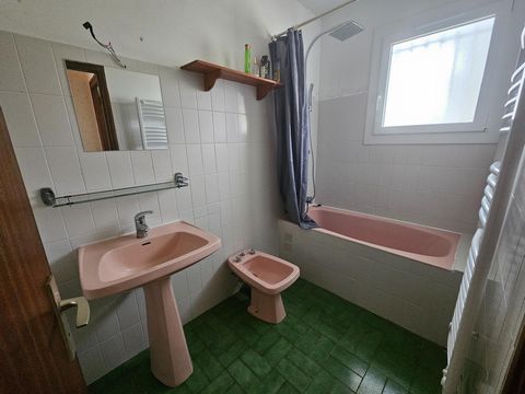 photo no. 12