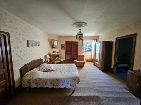photo no. 7