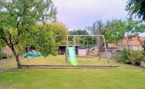 photo no. 10