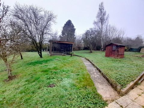photo no. 9