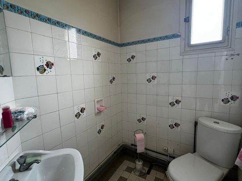 photo no. 11