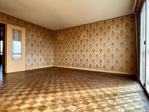photo no. 6